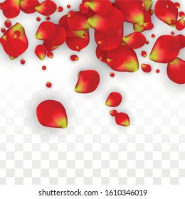 Vector Realistic Red Rose Petals Falling on Transparent Background.  Romantic Flowers Illustration. Flying Petals. Sakura Spa Design. Blossom Rose Confetti. Design Elements for  Web Design.