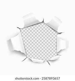 Vector realistic ripped torn hole in the sheet of paper on a transparent background.