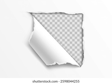 Vector realistic ripped torn hole in the sheet of paper. Template for design. Paper mockup.