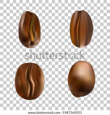 Vector realistic roasted coffee seeds for creation seamless pattern, decoration, background. Coffee beans isolated on a transparent background.