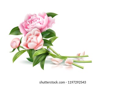 Vector realistic rose flowers with leaves bouquet lying. Vintage floral element for valentines day, 8 of march women day holiday, marriage and wedding greeting card, save the date design illustration