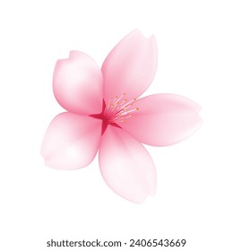 Sakura vectorial realista o flor de cerezo en blanco.