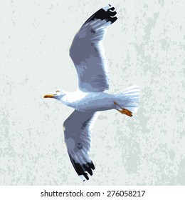 vector realistic seagull