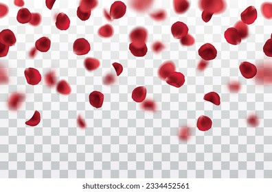 Vector realistic seamless border with fallig red rose petals on transparent background