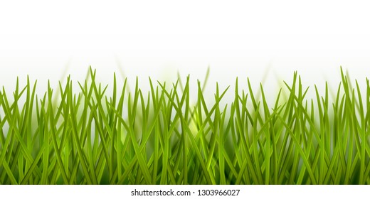 Vector realistic seamless green grass border or frame isolated on white background - nature, ecology, environment, gardening template