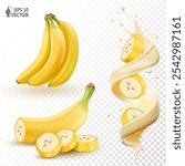 Vector realistic set of bananas. Bunch of natural ripe fruits. Sliced pieces falling into a realistic milk or juice flow. 3D food illustrations, design elements