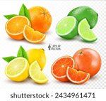 Vector realistic set of citrus. Lemon, orange, lime, grapefruit. Whole, halves and slices. Fresh sour citrus fruits isolated on white background. 3D food illustration for advertising design