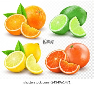 Vector realistic set of citrus. Lemon, orange, lime, grapefruit. Whole, halves and slices. Fresh sour citrus fruits isolated on white background. 3D food illustration for advertising design