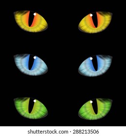 Vector realistic set colorful cat eyes on background