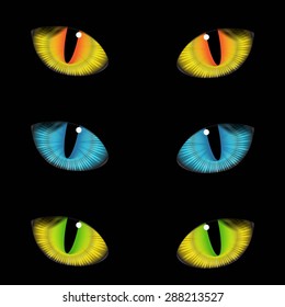 Vector realistic set colorful cat eyes on background