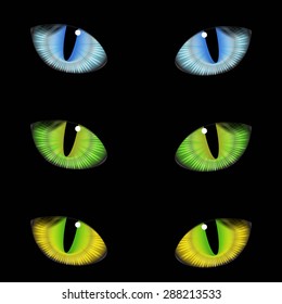 Vector realistic set colorful cat eyes on background