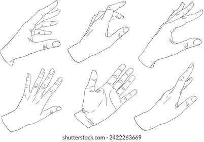 vector realistic set of hand gestures linear minimalistic arm tattoo illustration sketch elegant gesture icon logo sign symbol