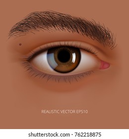Vector realistic sexy eye of a dark Hispanic, Indian or Arabian human. Glossy brown detailed iris. Facial element on a tan skin backdrop. Useful for design of a make up, cosmetics, vision correction.