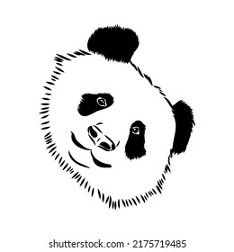 Vector realistic sketch of Panda figure in full-length, Hand drawn illustration