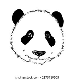 Vector realistic sketch of Panda figure in full-length, Hand drawn illustration
