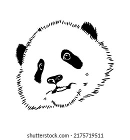Vector realistic sketch of Panda figure in full-length, Hand drawn illustration