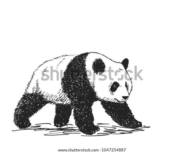 全長にわたるパンダの図形のベクター画像のリアルなスケッチ 手描きのイラスト のベクター画像素材 ロイヤリティフリー