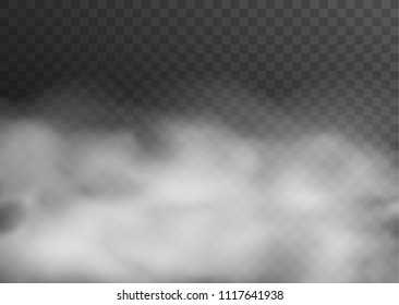 Vector realistic smoke, fog or mist transparent effect isolated on dark background