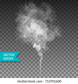 Vector realistic smoke on the transparent background.
