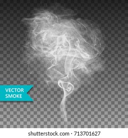 Vector realistic smoke on the transparent background.