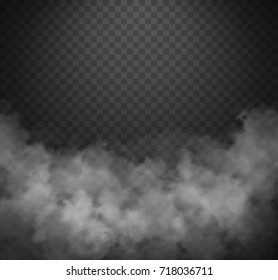 Vector realistic smoke on the transparent background.