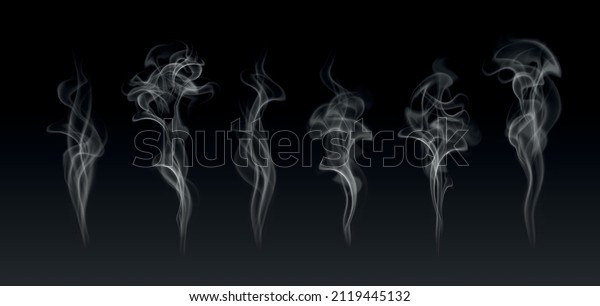 Vector Realistic Smoke Steam Set Isolated Stock Vector (Royalty Free ...