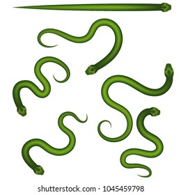 Vector realistic. The snake is green, repainted. A set of snakes of different forms of poses crawling.  Isolated 3D illustrations.