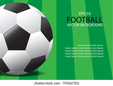 Vector realistic soccer ball on field grass