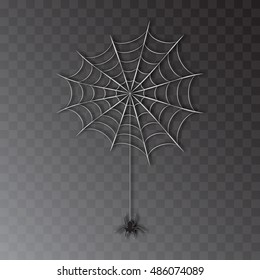Vector realistic spider on web, isolated on transparent background. Spider insect, flat cartoon illustration. Natural Halloween design element.