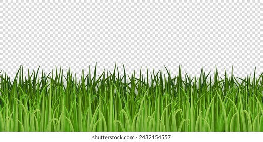 Vector realistic spring green grass border on transparent background. Grass seamless pattern.