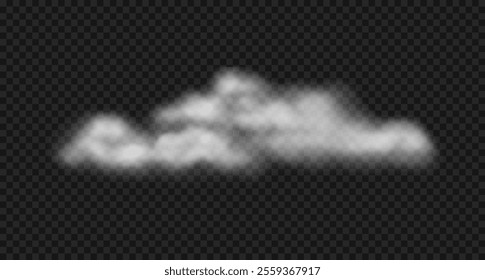 Vector realistic steam cloud, fog, water haze. White fluffy cloud, smoke isolated on transparent background