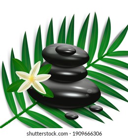 Piedras vectoriales realistas sobre fondo blanco con hoja de palma y flor. Burbujas con flores de plumería. Plantilla para salón de spa, cosméticos, publicidad de masajes, diseño de decoración.