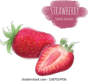 Vector realistic Strawberry, hand drawn illustration