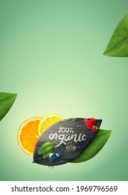 Vector realistic summer fruits template. Leaf shaped wood, leaves and fruits.	
