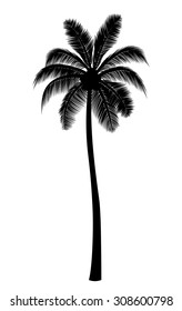 Vector Realistic Tall Palm Tree Silhouette