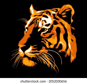 Vector realistic tiger illustration.  Bengal tiger head on black background.