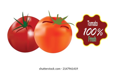 Vector realistic tomato fruit on white background eps 10