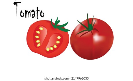 Vector realistic tomato fruit on white background eps 10