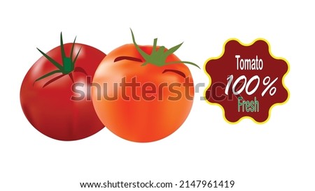 Vector realistic tomato fruit on white background eps 10