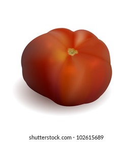 Vector realistic tomato isolated on white. Eps10