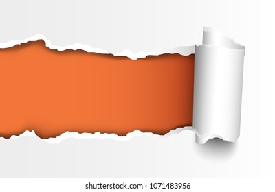 Vector realistic torn hole in paper with rolled edge with space for your text on orange background