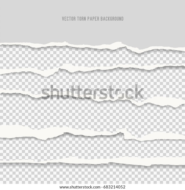 Vector realistic torn paper\
edges.