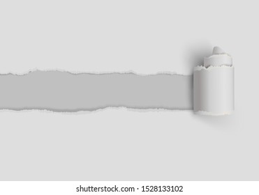 Vector realistic torn paper with rolled edge and shadows on transparent background. Easy editable.