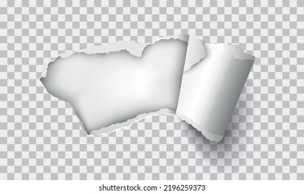 Vector realistic torn paper with rolled edge on transparent background - frame for your text or design