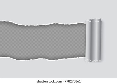 Vector realistic torn paper with rolled edge on transparent background