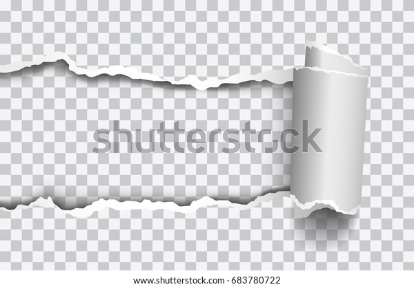 Papel roto vectorial realista con borde rodado sobre fondo transparente