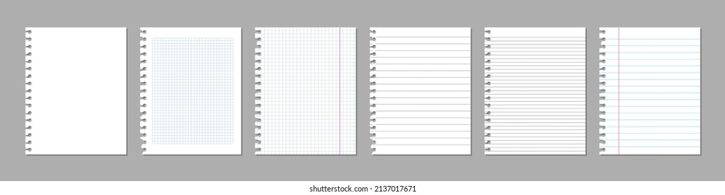 Vector realistic torn sheets of paper from exercise book. Squared and lined blank pages. 