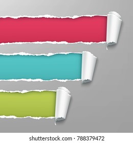 Vector realistic torn and twisted colored paper strips