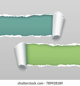 Vector realistic torn and twisted green paper strips on a gray background