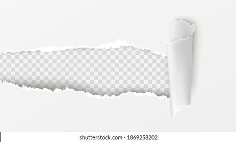 Vector realistic torn and twisted paper strip on white background.